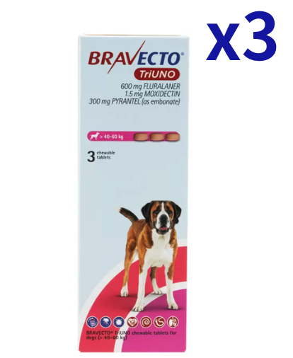�֥�٥��ȥȥꥦ�� >40-60kg | 3��x2Ȣ | �Υ� | �ޥ��� | �ե���ꥢ