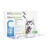 �ߥ�ץ饾��12.5mg/125mg 5kg�ʾ�θ��� 2��