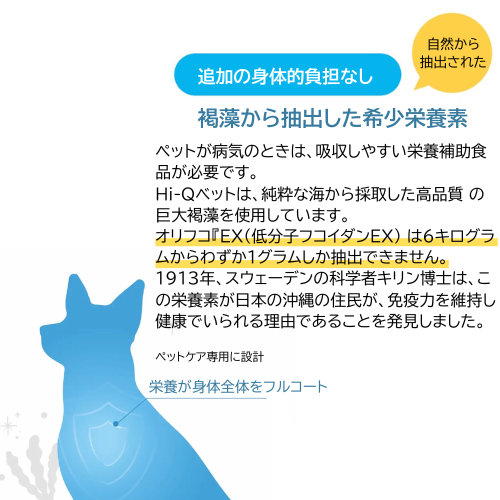 ���ߥ奢���ޡ� L | ImmuArmor | ���� | Hi-Q Pets | �ڥå� | ���ץ�