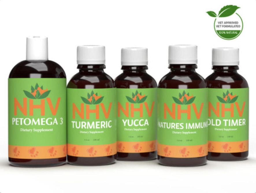 Dementia | �� | ǭ | ǧ�ξ� | ������ | �ե꡼�饸���� | �����ȱ� | NHV ���ץ�