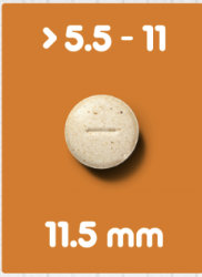 ����ǥꥪ�ץ饹�� | �淿���� | 5.5-11kg | 6��