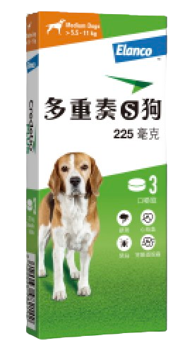 ǥꥪץ饹 | 淿 | 5.5-11kg | 3