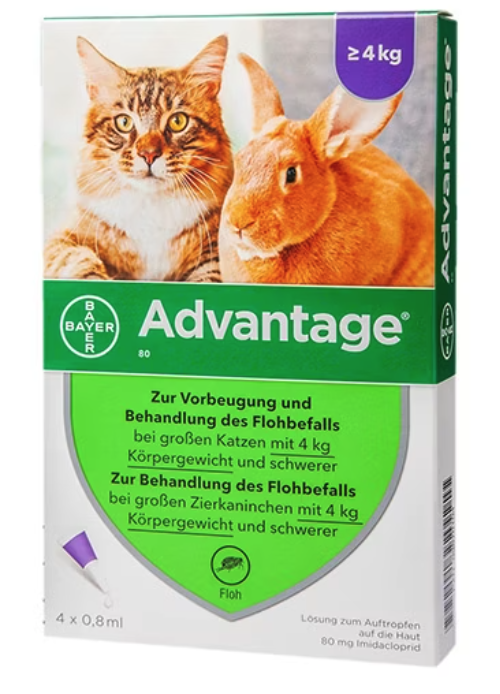 ���ɥХ�ơ��� | ǭ | ������ | 4kg�ʾ� | �Υ�