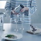 ��BIRDY. �����ƥ��������о��ʡ�DC700 �ǥ���� B��