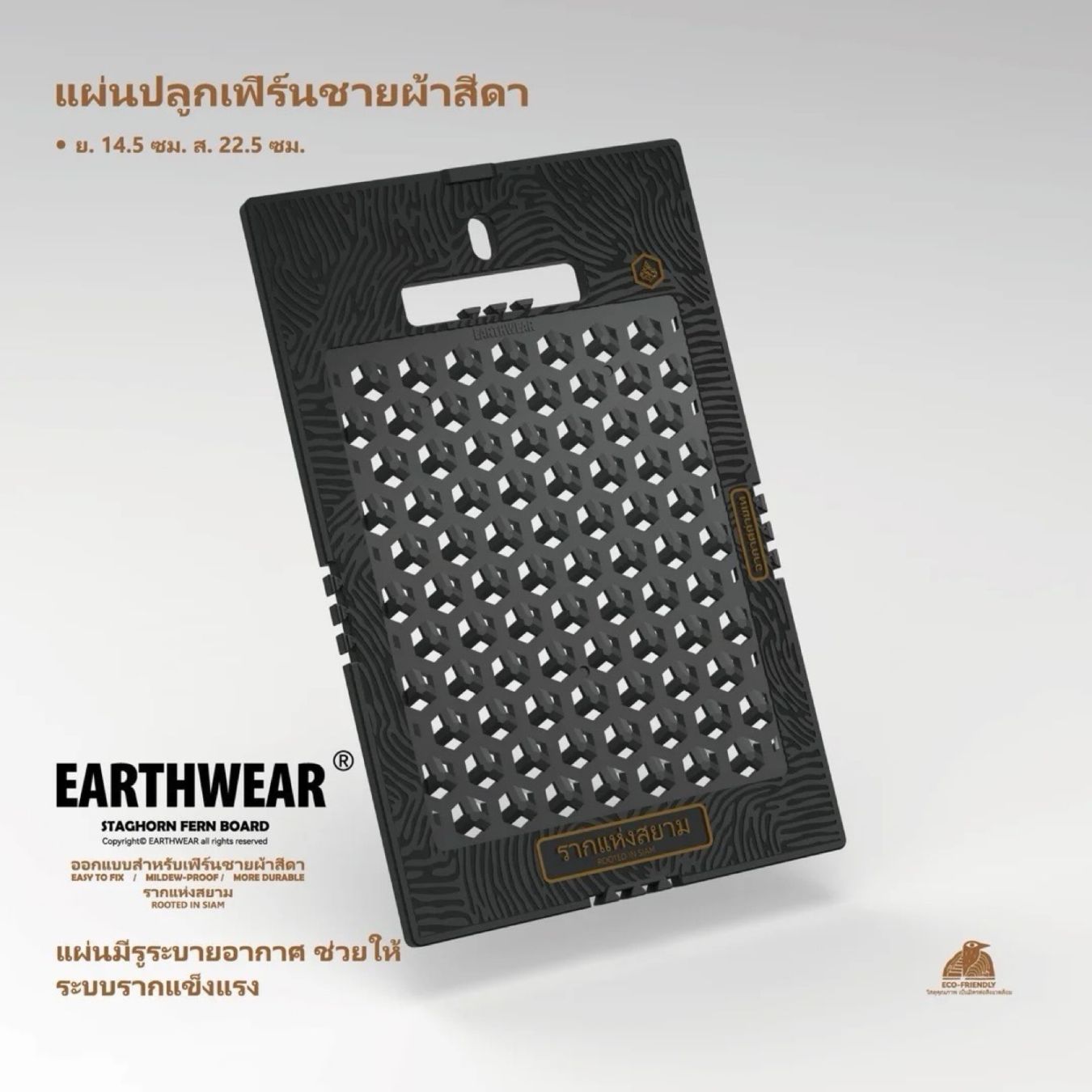 ビカクシダ 着生板 『MONOLITH BOARD』4枚SET 000000000959_CZVjMHO.jpg