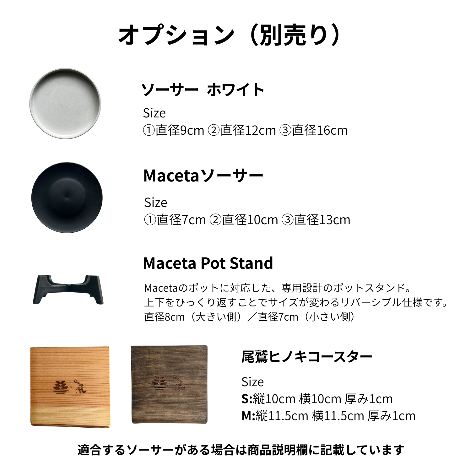 珍品！ セロームの実生から出た羅紗葉個体 コレクション株 珍品