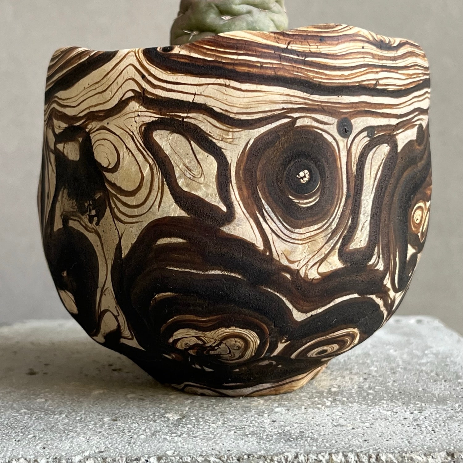 テフロカクタス ゲオメトリクス+ plantsmonsters pot/Tephrocactus