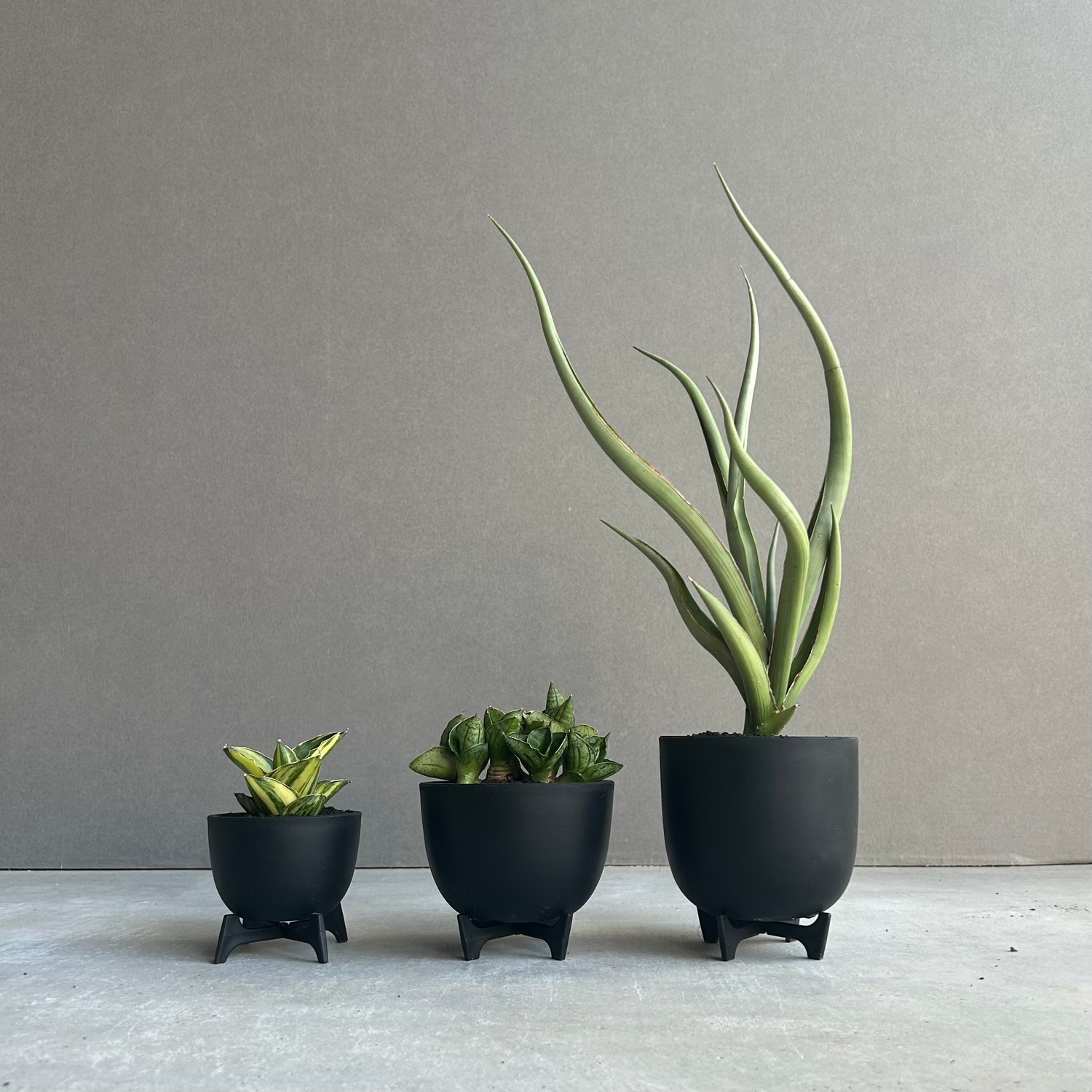 Maceta ポットスタンド リバーシブル 直径7cm 8cm対応 植木鉢スタンド
