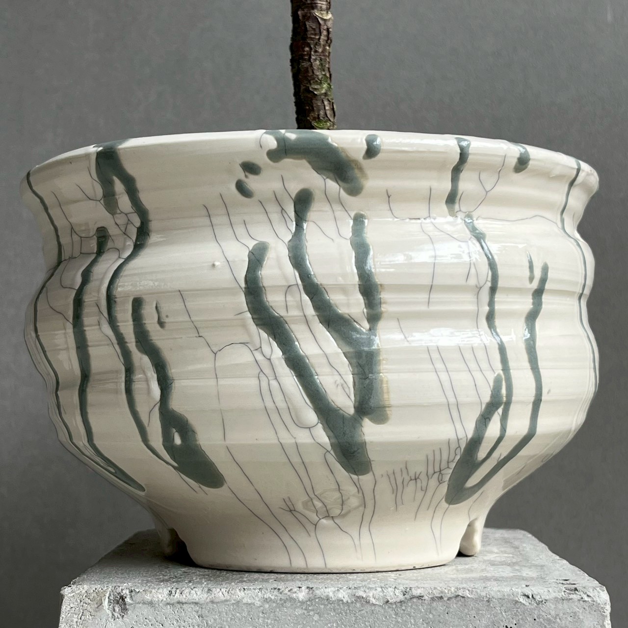 カシワバゴム “バンビーノ” + YON-HACHI 罅 -hibi-｜コンパクトで