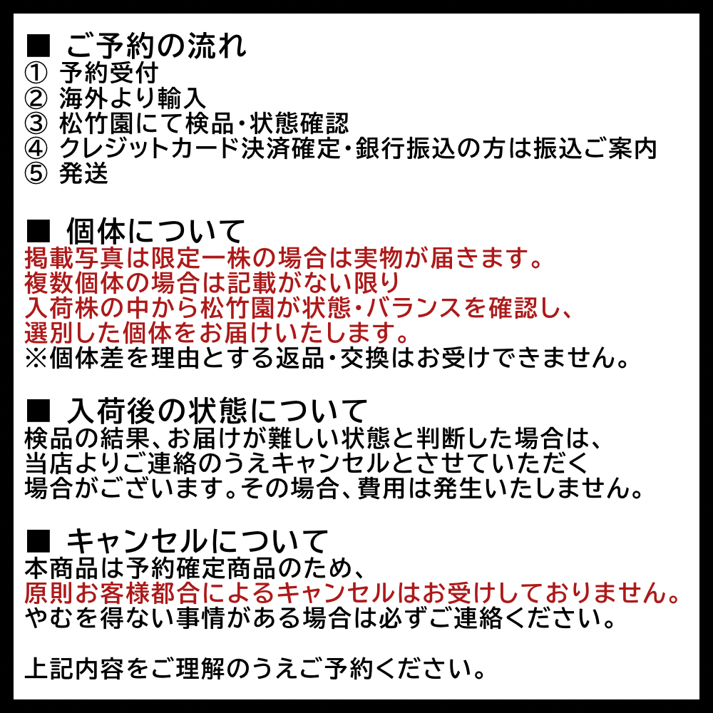 ビカクシダ ウィリンキー Harvest Moon ミックススポア セレクト