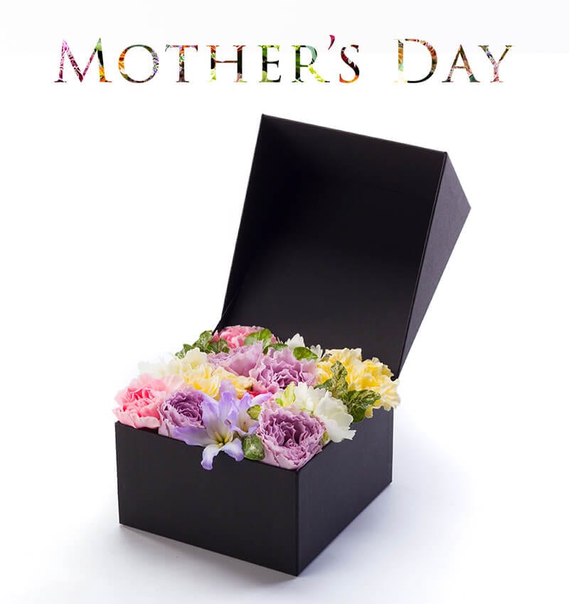 Jewelry Box -Mother's Day 2026-