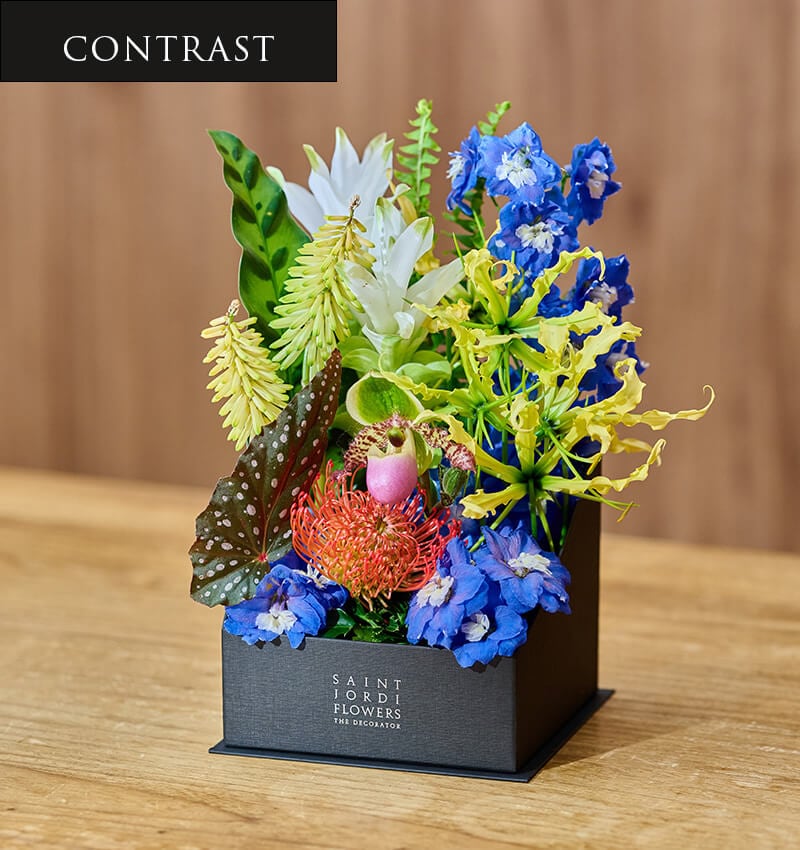 Poter Box S - Contrast -