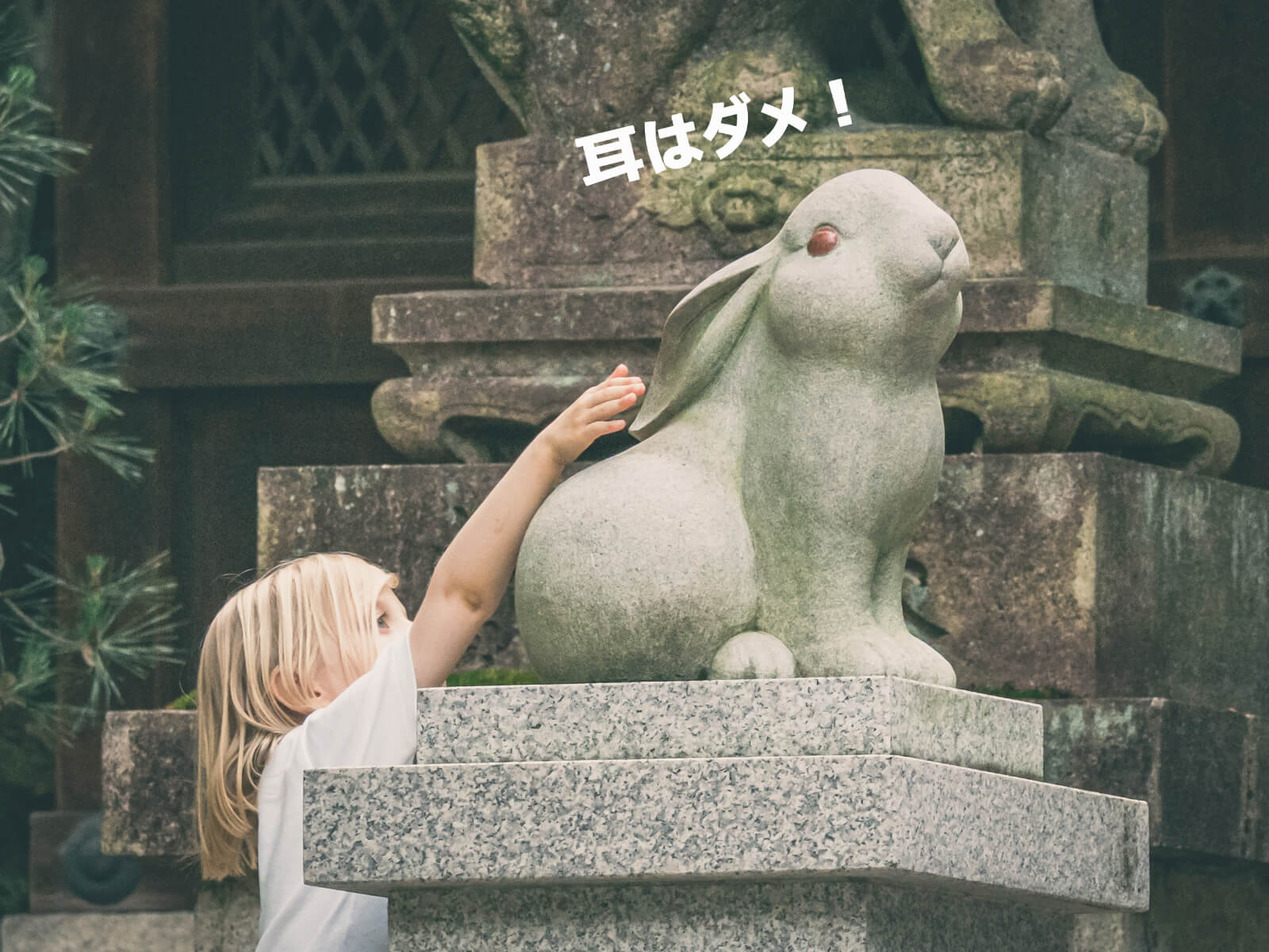 Kakuei, Snapped Something Fun? 【Photo Book】