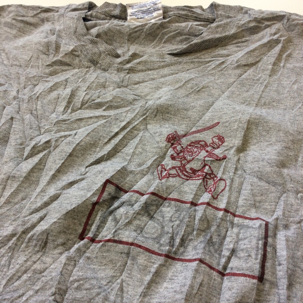 Champion �����ԥ��� ȾµT����� ����̵�� ����ꥫľ͢�� L/���졼 �֥��� �ΰ� ���ᥫ�� �ե������� ����å� �ӥ�ơ���