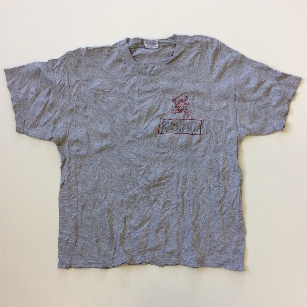 Champion �����ԥ��� ȾµT����� ����̵�� ����ꥫľ͢�� L/���졼 �֥��� �ΰ� ���ᥫ�� �ե������� ����å� �ӥ�ơ���