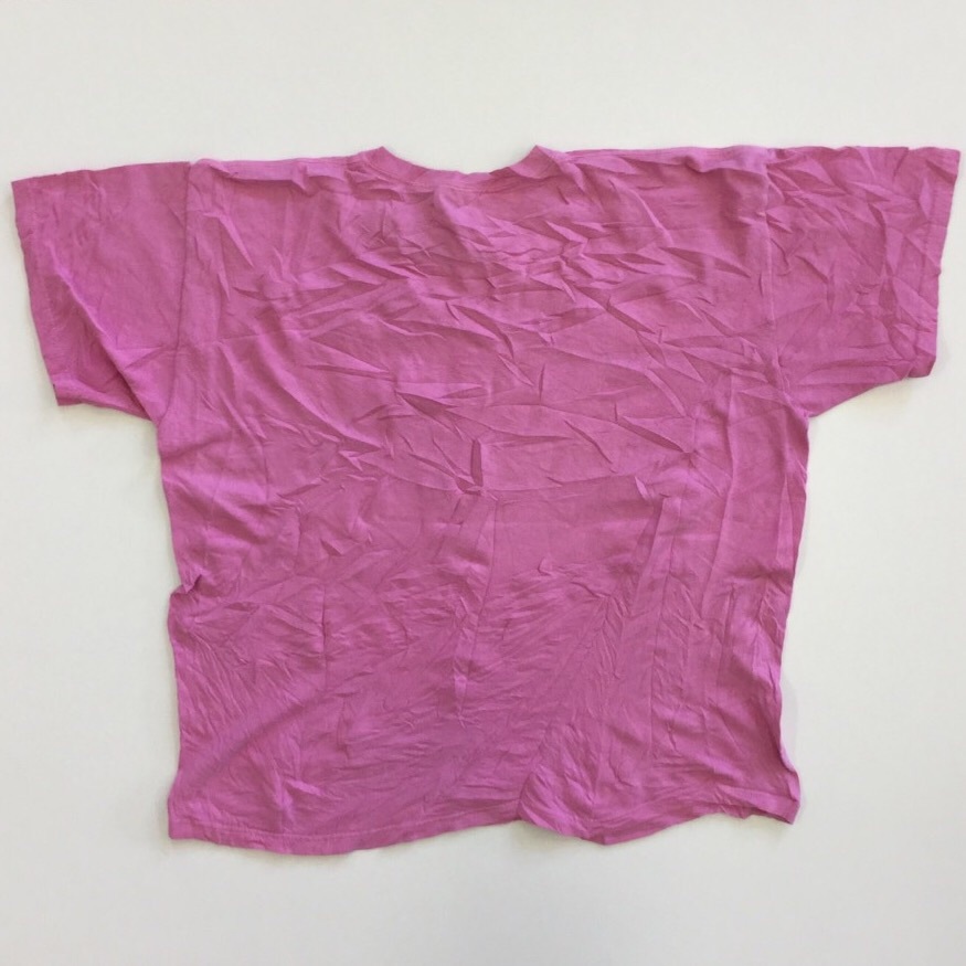 US IOWA  ȾµT ̵ XL/ԥ ꥫľ͢ ̾ ȥ꡼ 礭 ӥå