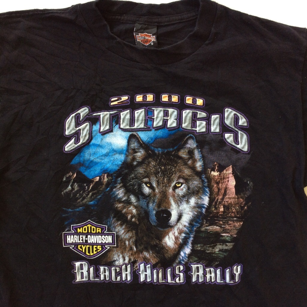 Harley Davidson ϡ졼ӥåɥ USA  ȾµT L/ ̵ ꥫľ͢ Sturgis Х ⡼ ֥ ե 