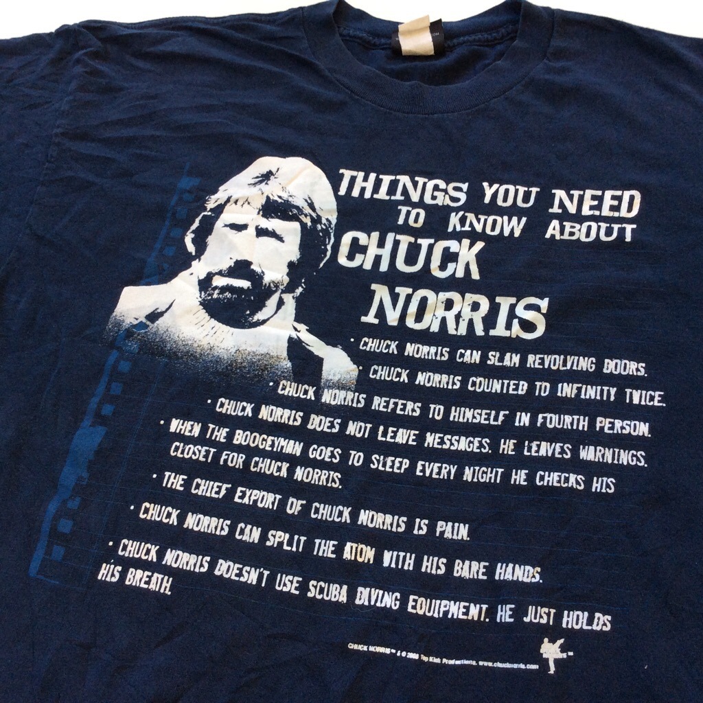 CHUCK NORRIS åΥꥹ ȾµT ѥǥ ̵ L/ͥӡ ꥫľ͢ USA ᥫ ɥ饴ؤƻ ͥT ǲ 岷 ֥롼꡼