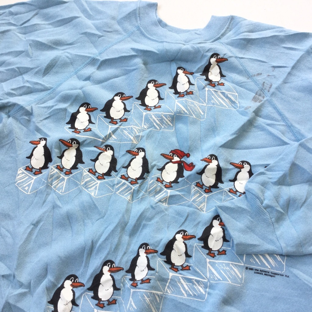 ペンギンスウェット アメリカ直輸入 オールド プリントトレーナー 送料無料 メンズ L 水色 氷 階段 Hanes ヘインズ ラグラン 4本針 Made In Usa キャラクター アメカジ 古着卸 業販 アメリカ古着 レディース トップス Spec Co Ltd