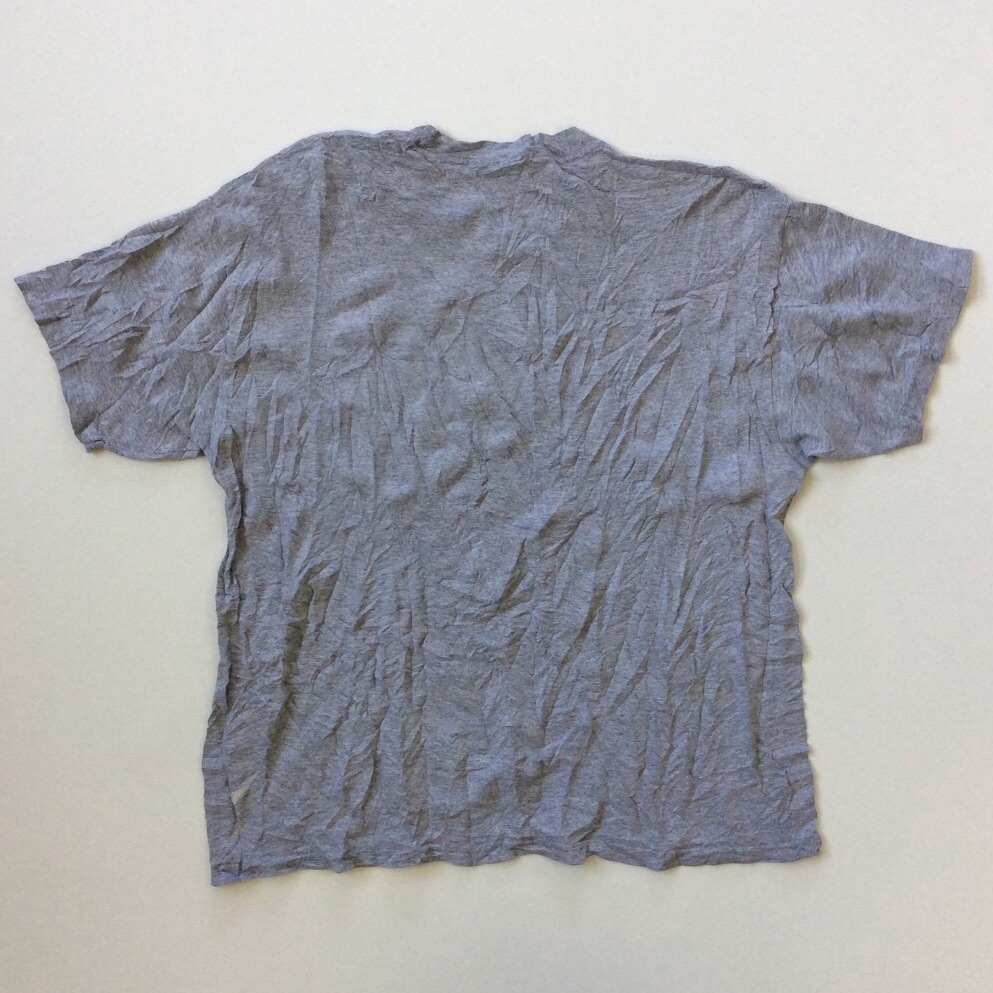 Champion �����ԥ��� ȾµT����� ����̵�� ����ꥫľ͢�� L/���졼 �֥��� �ΰ� ���ᥫ�� �ե������� ����å� �ӥ�ơ���