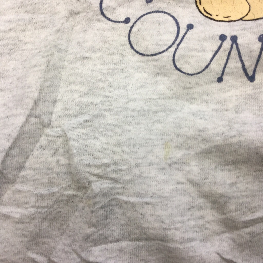 ����ꥫ���� ��ǥ����� Ĺµ�������å� MADE IN U.S.A L/���ߤꥰ�졼 ����ȥ꡼ �ͷ� ������� �ȡ��� �ɡ��� �ϡ��� FRUIT OF THE LOOM ͢���� ����̵�� ���ᥫ��