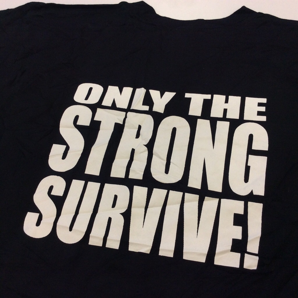 UPS ꥫ͢ ȾµT ˥ե L/֥å ̵ USA ᥫ    ե롼ĥ֥롼  T