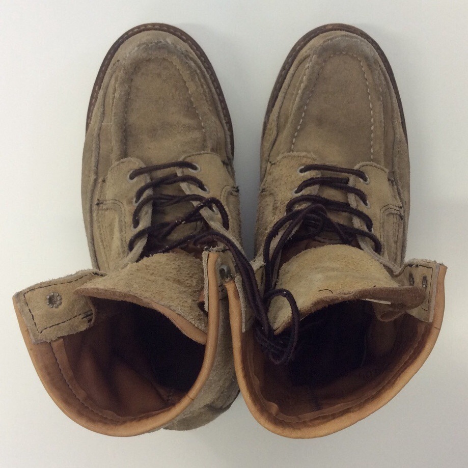 REDWING Irish Setter ��åɥ����� ������å��奻�å��� ������ �������� �֡��� ����̵�� 25.5cm/�١����� ����ꥫ�� ���ᥫ�� 7.5 �ӥ�ơ��� �� �ɥå����� 8875 �ϥ�ƥ��� ���� ����������