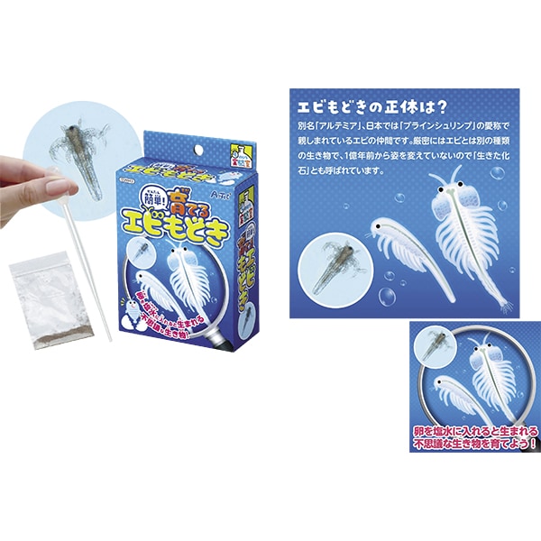 46752 てのひら実験室_育てるエビもどき 26SS-P103 手のひらサイズのサイエンストイ エビもどきを観察しよう