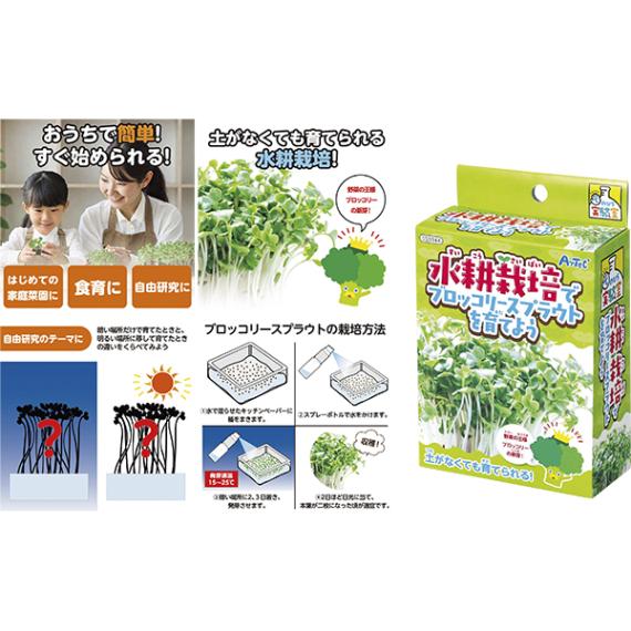 46772 てのひら実験室_ブロッコリースプラウトを育てよう 26SS-P104 手のひらサイズのサイエンストイ 土が無くても育てられる水耕栽培