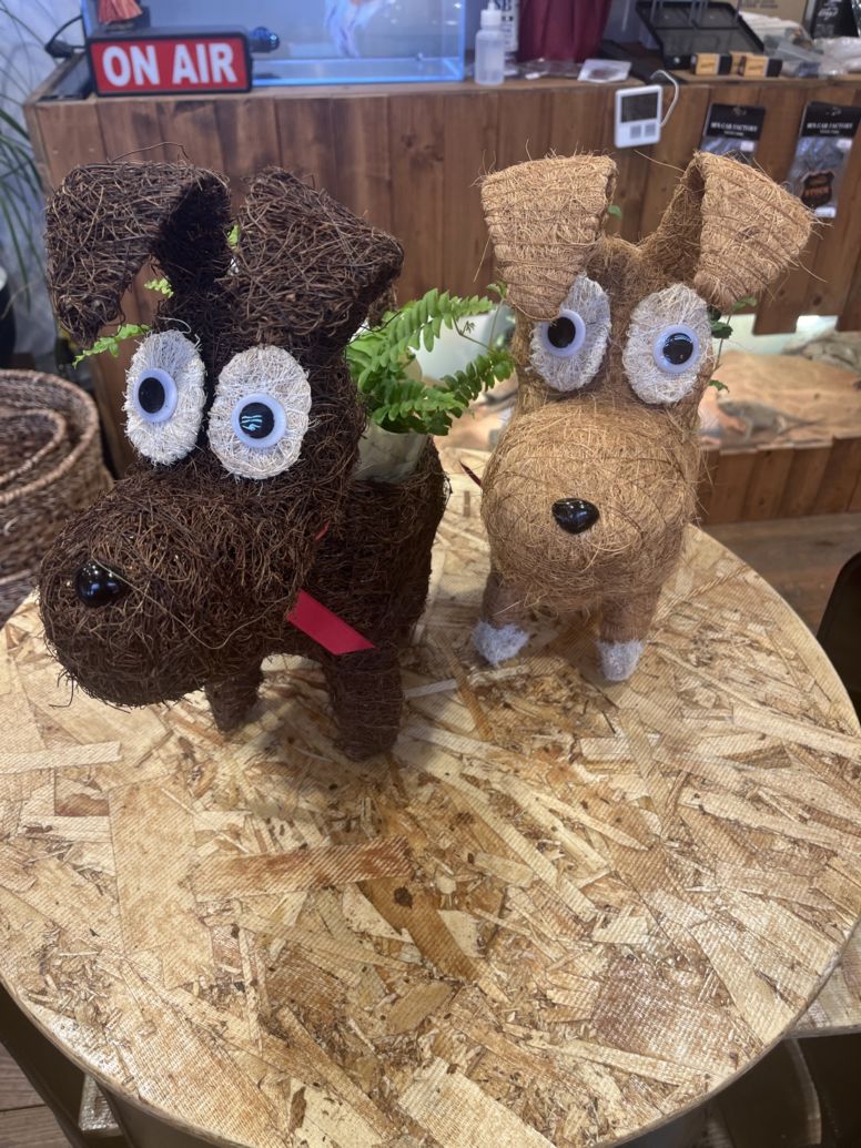 【原田様専用】びっくりワンコ　２匹