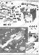 1/20 C31 JAPAN GP<br>FS MODEL��Multimedia Kit��