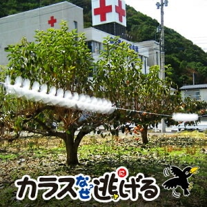 カラス撃退！カラスなぜ逃げる? 農園 工場用5ｍ カラスなぜ逃げる? 農園 工場用5m【15％OFF！】 広い敷地をカバー