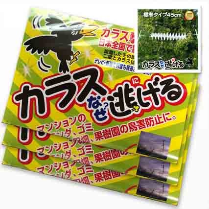 カラスなぜ逃げる? 標準タイプ 3個セット【15％OFF！】 カラス対策