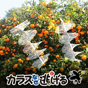 ���饹�ʤ�ƨ����? �̼�����5�ĥ��åȡ�15��OFF���� �����Ťͤ��о졪�����饹�к� ���饹���� ���򥰥å� Ȫ�Ӥ餷�����߹Ӥ餷�к�