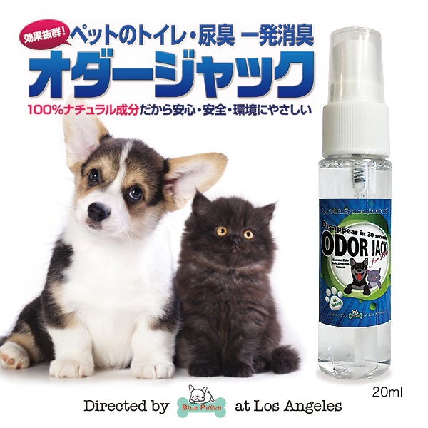 å20ml ڥåȤξýץ졼 ŷʬǰ¿