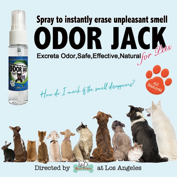 å20ml ڥåȤξýץ졼 ŷʬǰ¿