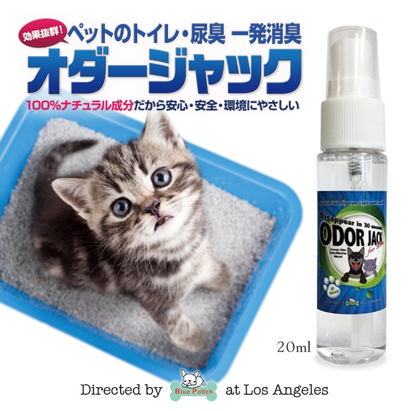 å20ml ڥåȤξýץ졼 ŷʬǰ¿