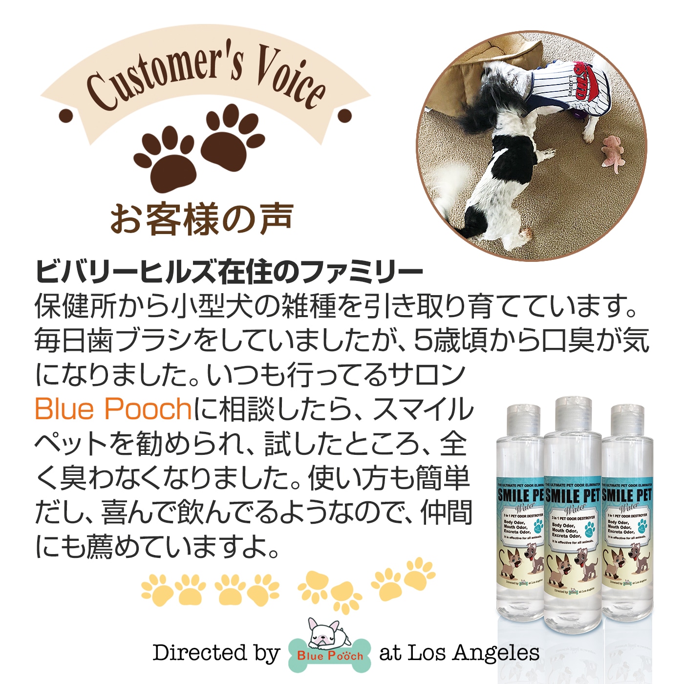 ޥڥå200ml  ڥåȤοΤ椫ý뿷Фο ָסνסؽפʤɡڥåȤηʽ ŷʪʬ¿