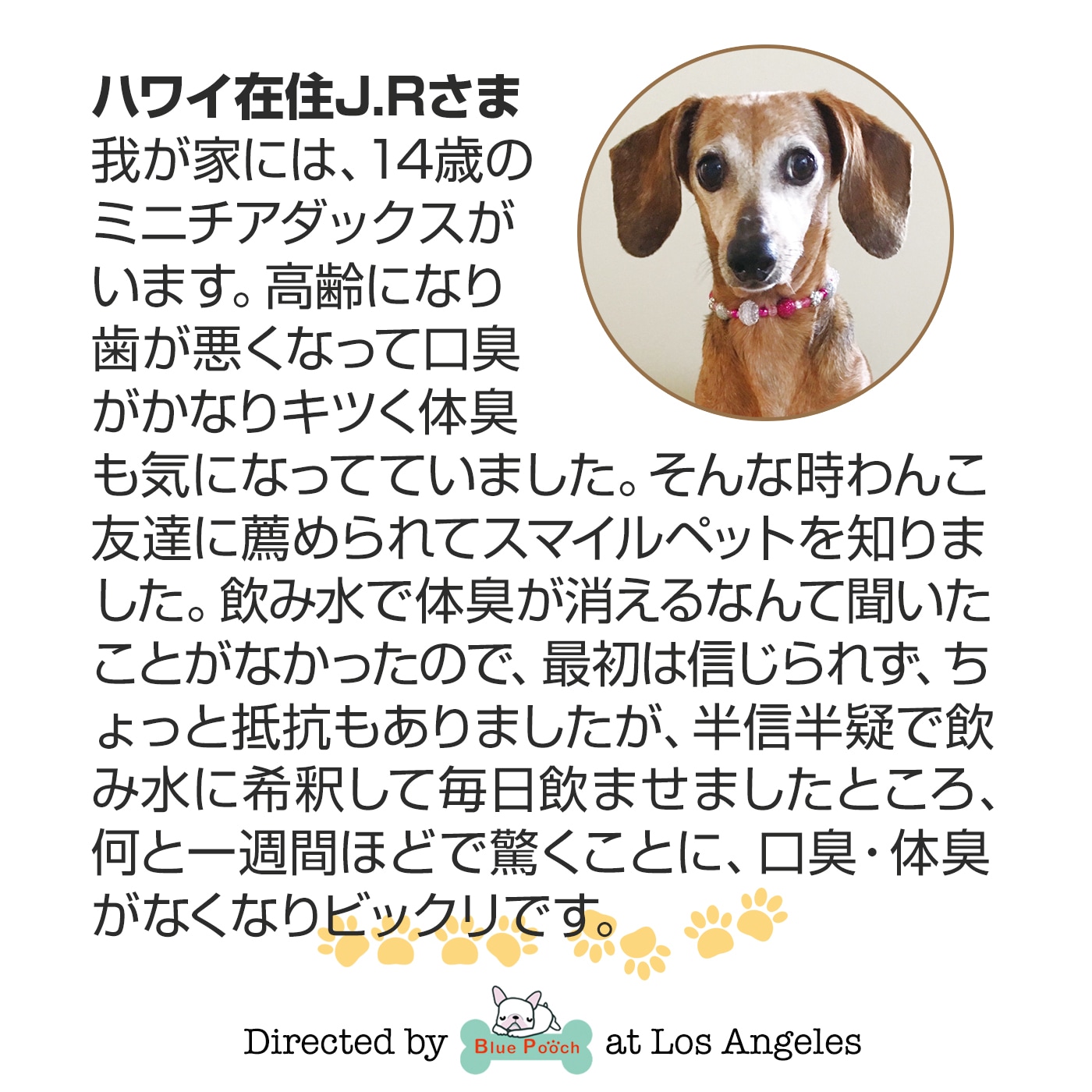 ޥڥå200ml  ڥåȤοΤ椫ý뿷Фο ָסνסؽפʤɡڥåȤηʽ ŷʪʬ¿