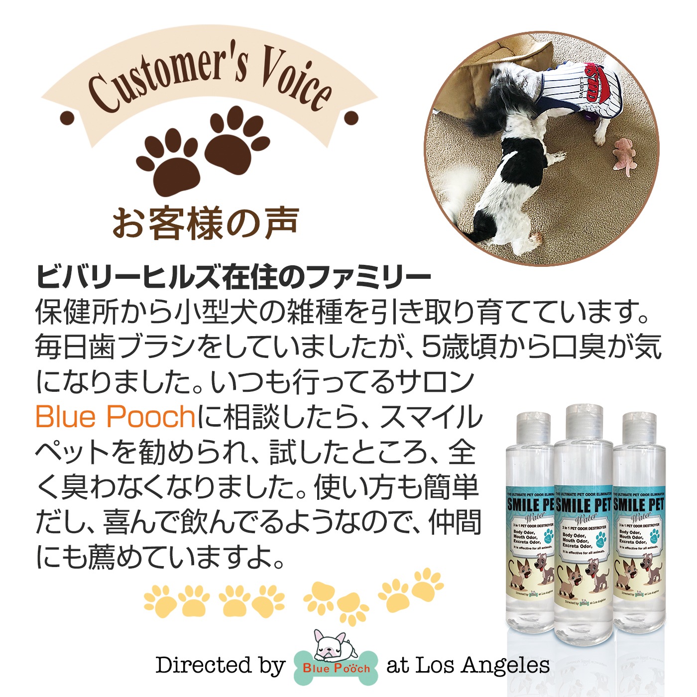 ޥڥåȥߥ300ml ڥåȤοΤ椫ý뿷Фο塢ߥͥ륤 ָסνסؽפʤɡڥåȤηʽ ŷʪʬ¿