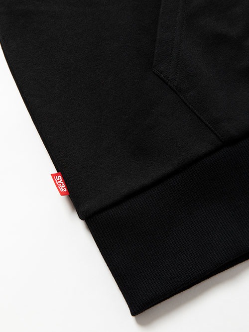BASIC P/O HOODIE
