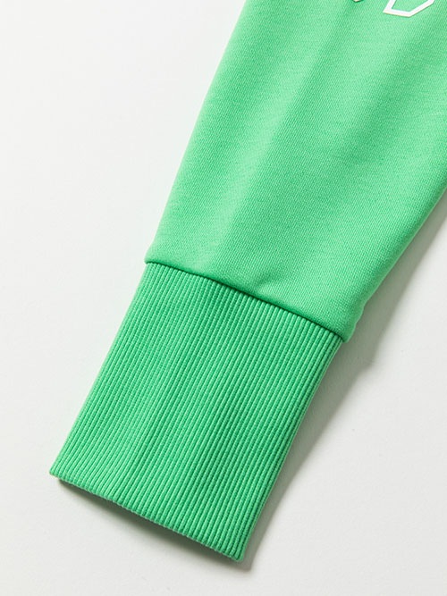 FLASH COLOR ARM LOGO P/O HOODIE