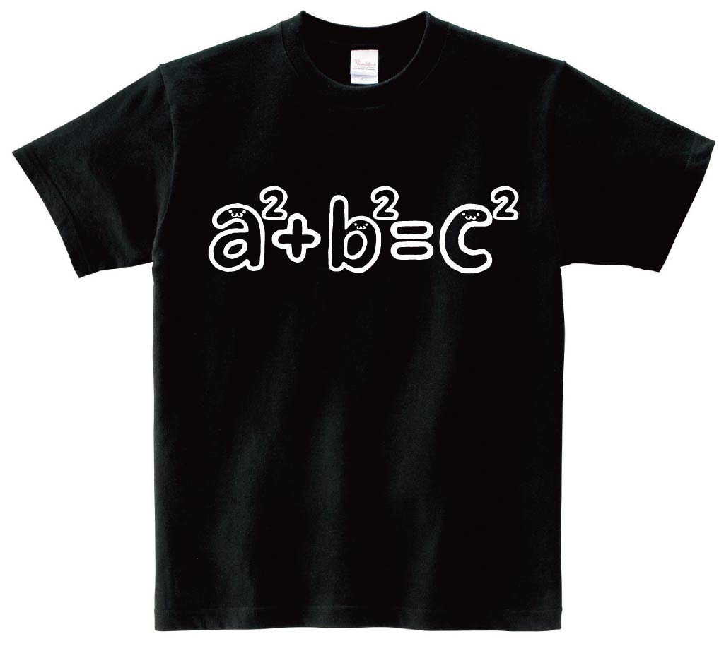 a2＋b2＝c2　ピタゴラスの定理　数学　数式　記号　文字　筆絵　イラスト　半袖Tシャツ