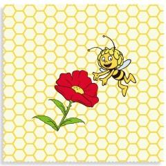 ナッツ ビーズワックスラップ 25x25 マーヤ