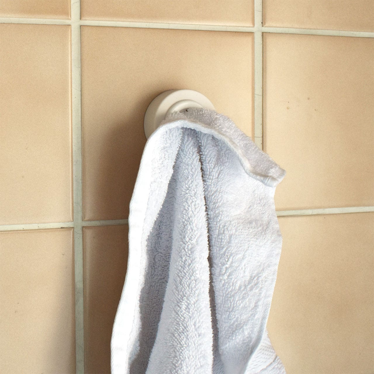 リダー タオルホルダー 5.5x2.3cm ホワイト