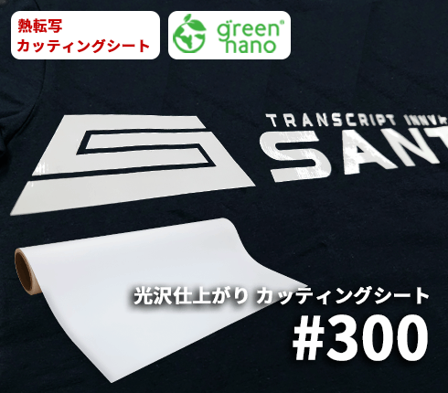 #300