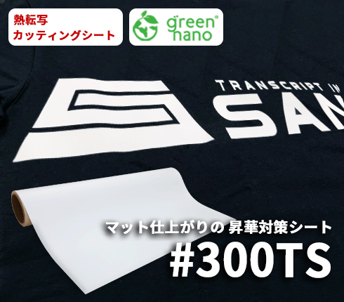 #300TS