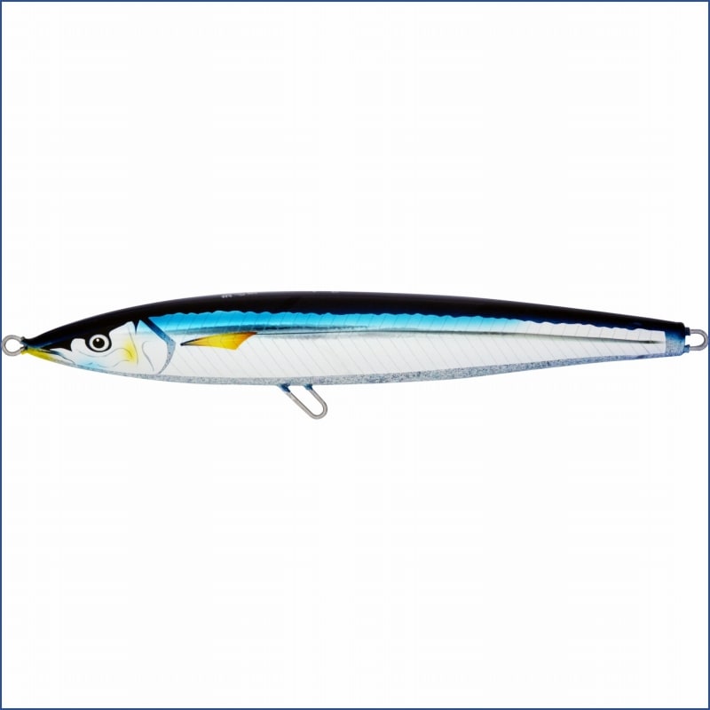 まんま秋刀魚　02:リアルブルーサンマ