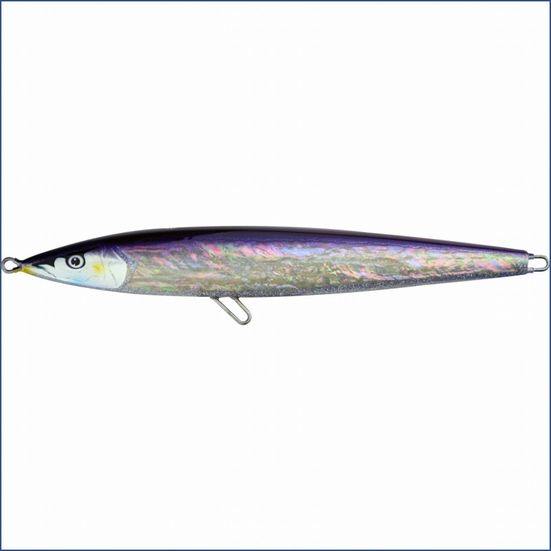 まんま秋刀魚　04:ホワイトアワビパープルサンマ