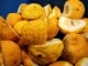 2025/2/7ȯ  ̸ ϥӡ  ڤ䤫˹ ͮ 纬 & 纬ͮҤѡ 椺եå 2025  ӥؤ 300ml M ٥른ۥ磻 ե롼ĥӡ롡ϥӡ  եȥӡ craftbeer beer